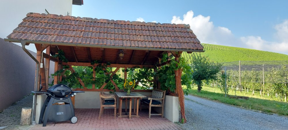 Grillhütte am Haus, ein Weber Gasgrill steht zur Verfügung.