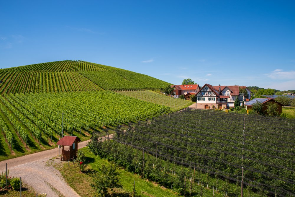 Vogesenblick Balkon Aussicht