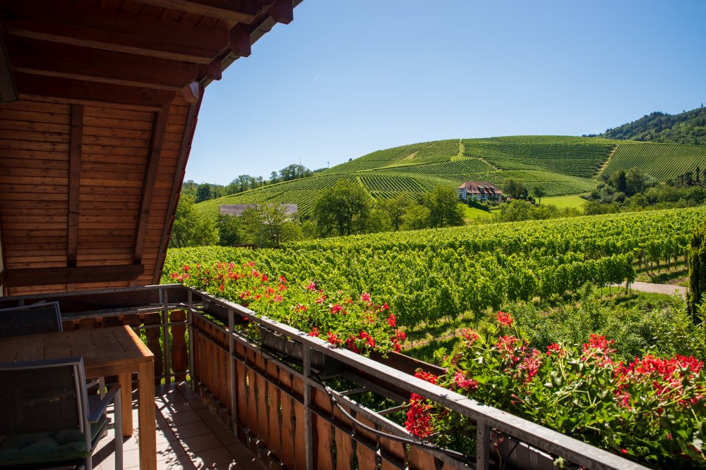 Weinbergblick Balkon Aussicht